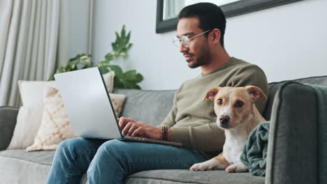 Laptop-working,-dog-couch-and-man-typing-an-email