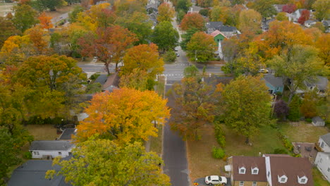 aerial following a car as it drives down a street in a nice neighborhood in autumn on a pretty day