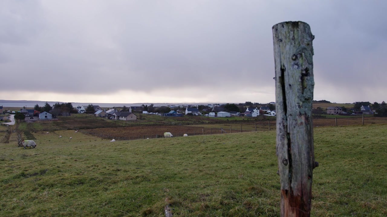 Glidande bild av en gammal trästaketstolpe på ett fält med en flock betande får. Filmat nära Stornoway på Isle of Lewis, en del av Yttre Hebriderna i Skottland.