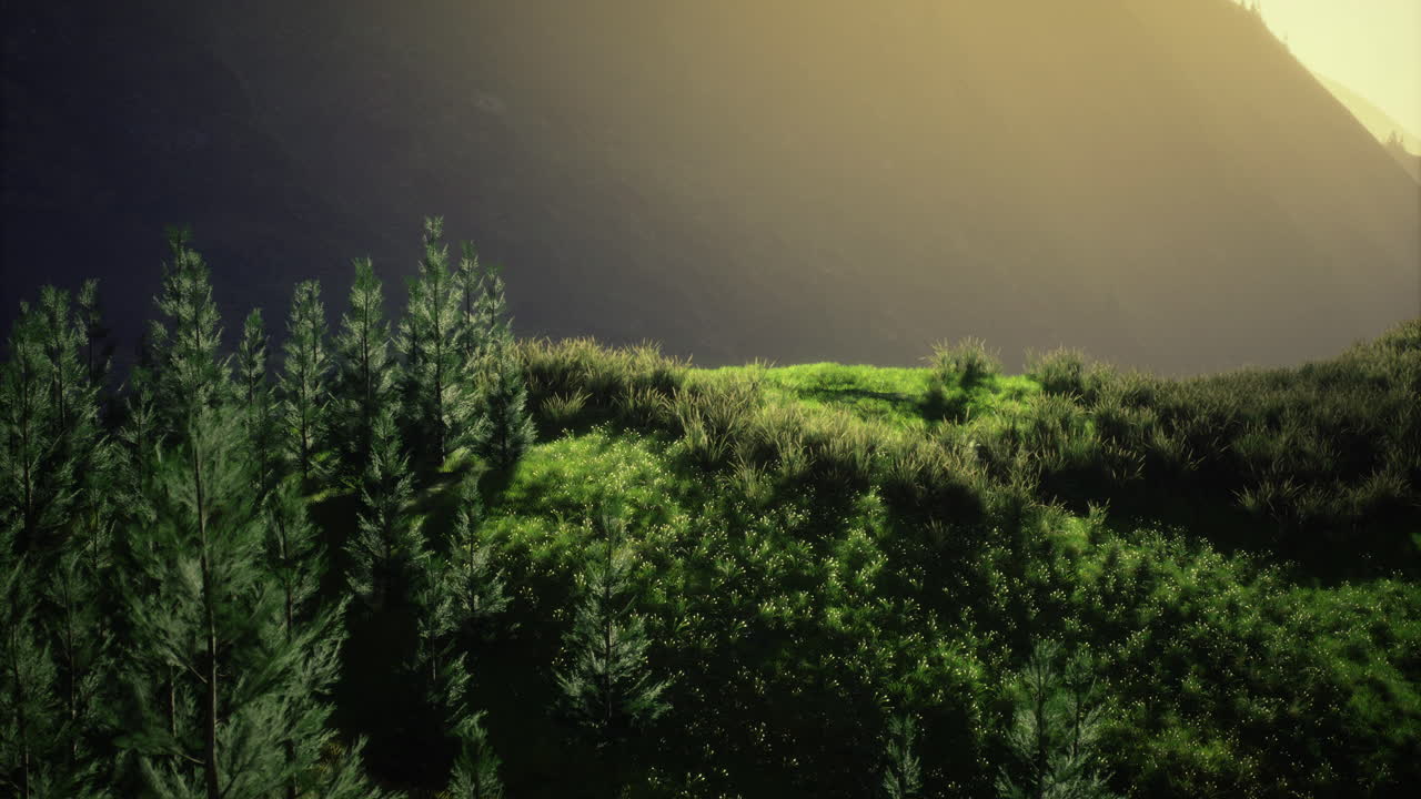 Lush green landscape under golden sunlight with mountain backdrop