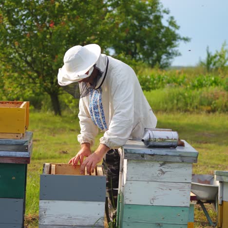 honey cells in hands of apiary owner. male beekeeper works near bee hives. summer time in garden. apiculture concept
