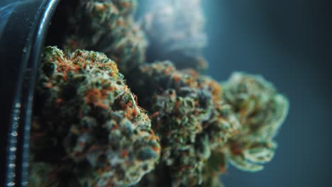 A-vertical-macro-close-up-cinematic-crispy-shot-of-a-cannabis-plant,-hybrid-strains,-Indica-and-sativa-,marijuana-flower,-on-a-360-rotating-stand-in-a-shiny-bowl,-slow-motion,-4K