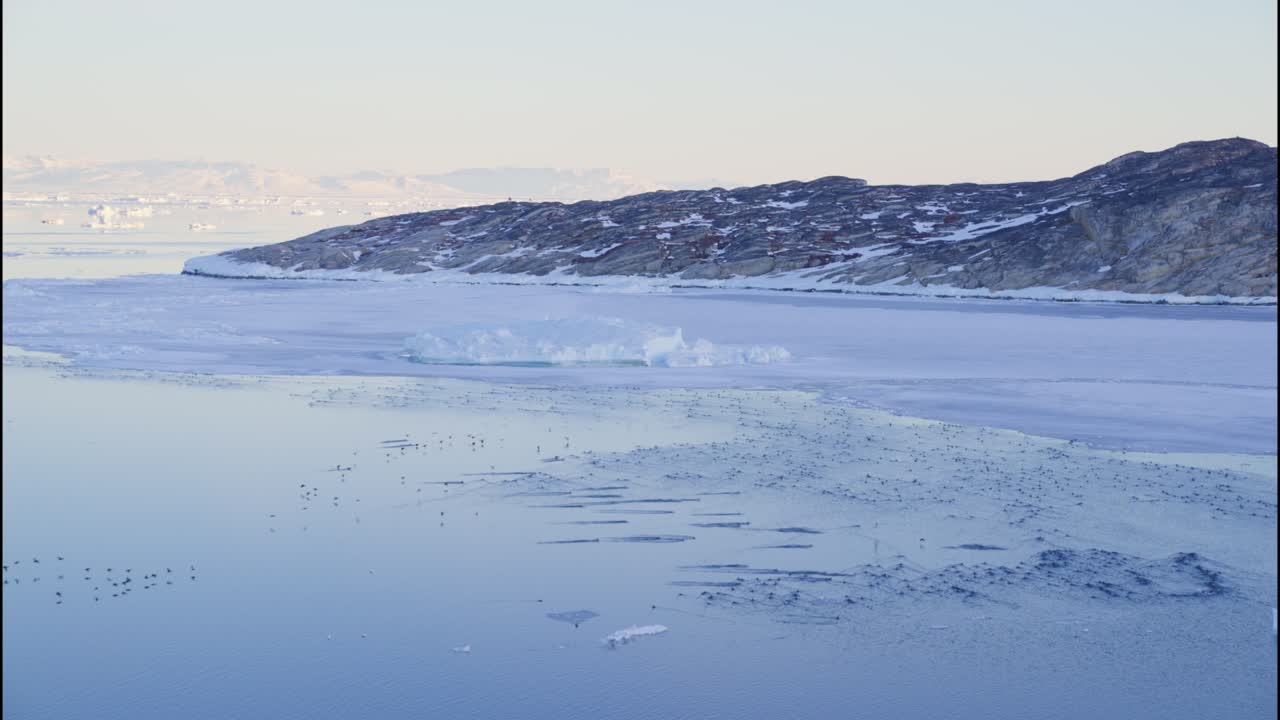 ilulissat icefjord 위를 날아다니는 새 무리