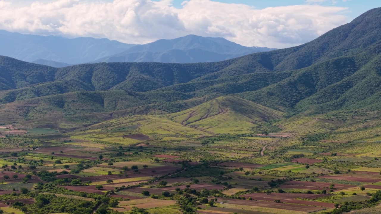 Riprese aeree con drone di vegetazione rigogliosa attraverso le Valli Centrali di Oaxaca