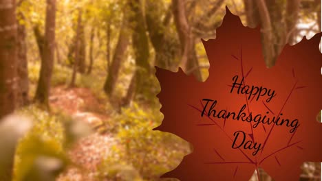 animation of happy thanksgiving day text over leaf and trees in forest