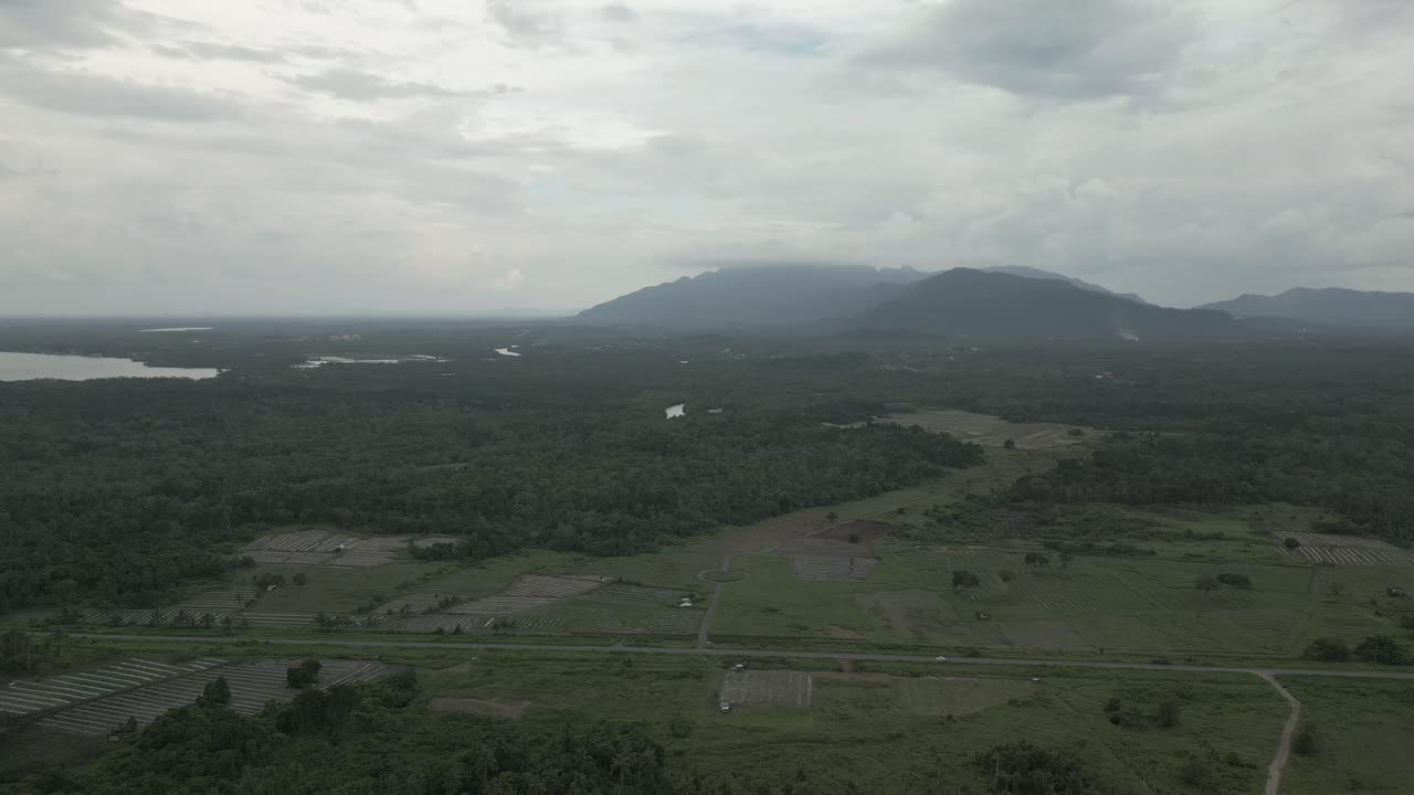 vista aérea de la plantación de aceite de palma, la granja de verduras y el hermoso fondo de la montaña en la playa de terombol, kuching, sarawak