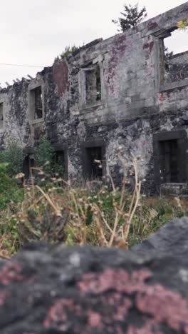 ruined stone building with overgrown vegetation