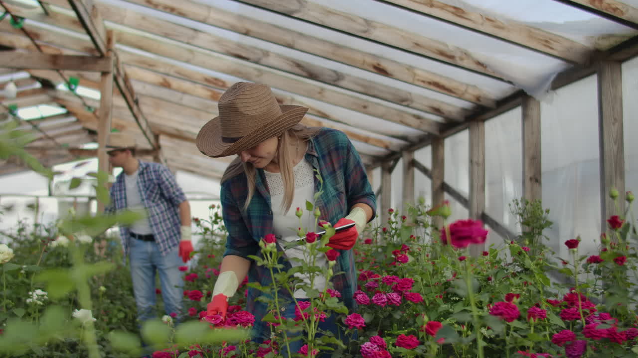 Worker with tablet near rose in greenhouse. Two Beautiful young smiling girl and man worker with tablet near rose in greenhouse. Concept