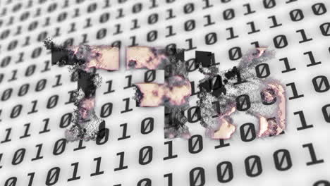 animación del texto nft sobre codificación binaria