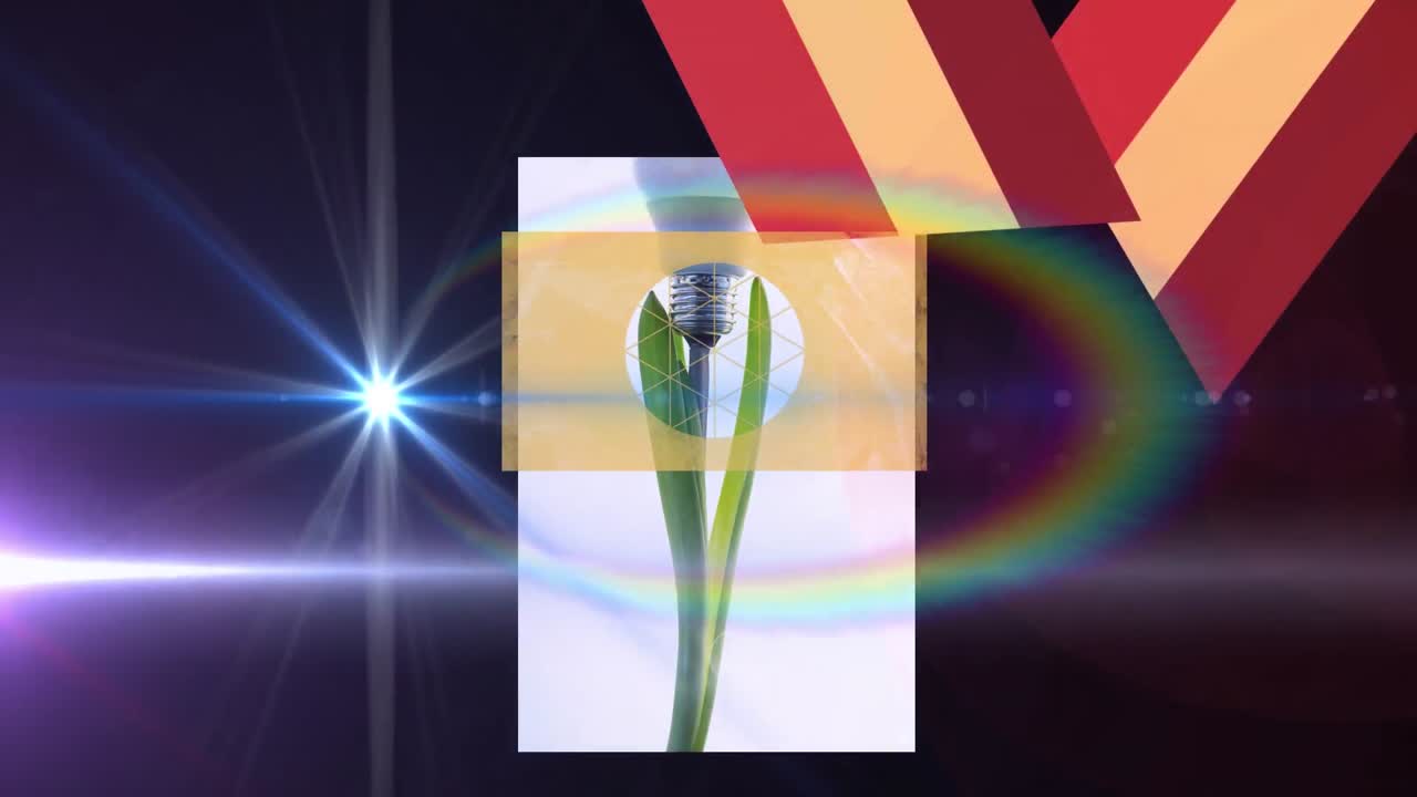 animación de rastros de luz sobre formas y bombilla sobre fondo negro