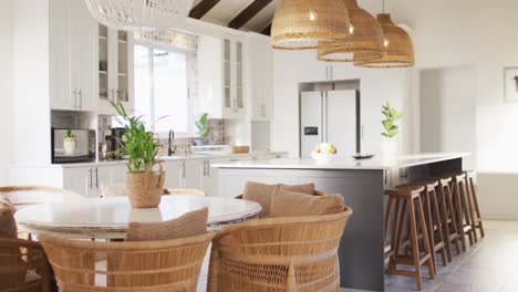 close up of house interior with plants on tables and chairs