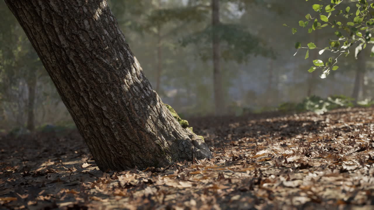 잎이 떨어지는 평화로운 낮의 숲에서 기울어진 나무 줄기
