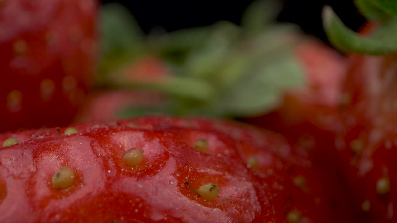 foto macro en primer plano del detalle de la fresa de rocío