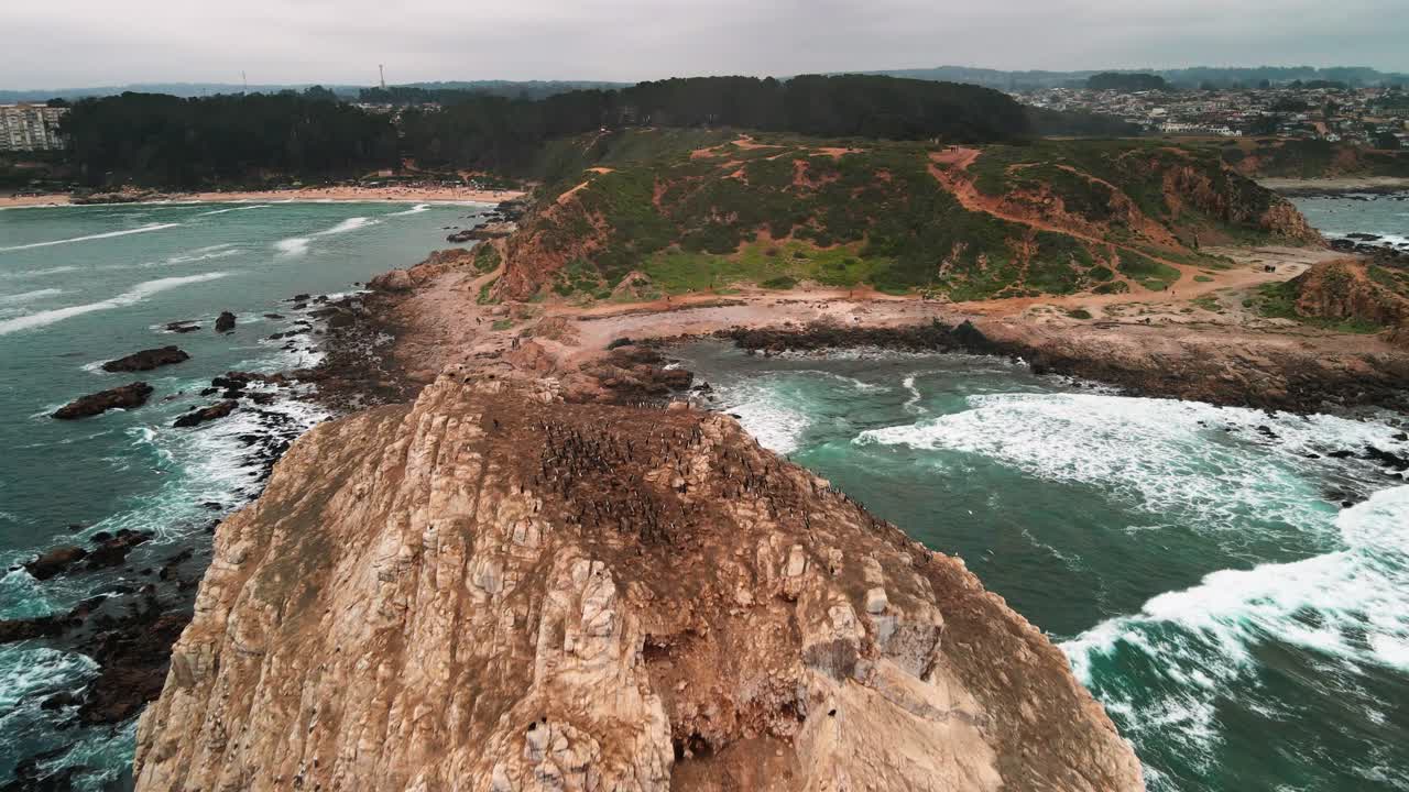 Drone aerial forward over a rocky coastal headland and bay in the afternoon, capturing rugged cliffs, surf and seabird rookeries in moody overcast light
