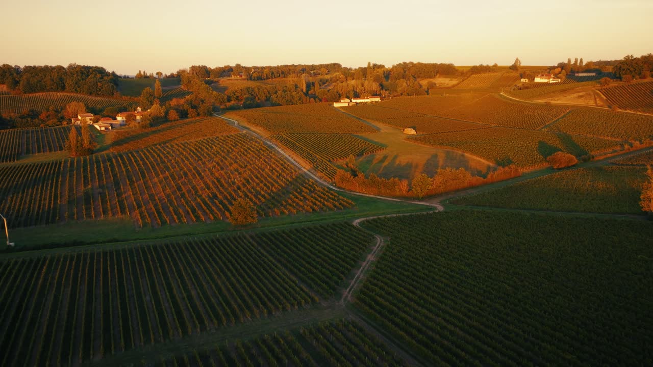 Sentieri sterrati che si intersecano tra gli estesi vigneti di Bergerac durante l'ora d'oro. Vista aerea dall'alto che mostra i motivi geometrici dei campi e il fogliame autunnale nella regione vinicola francese