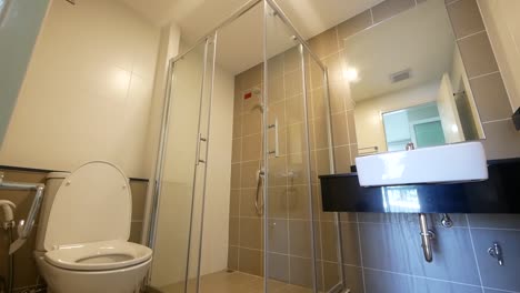 Small-and-Clean-Bathroom-With-Shower-Box