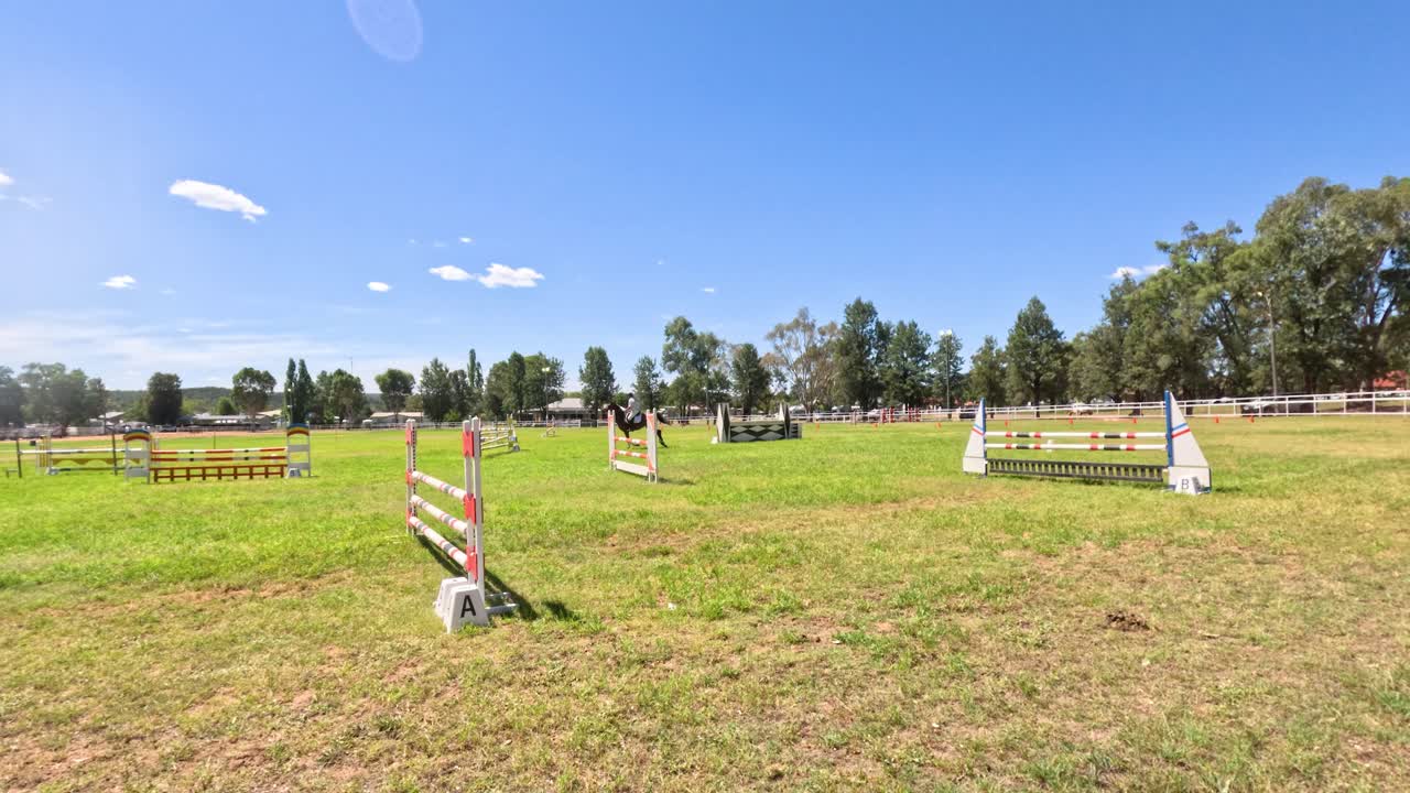 caballo saltando sobre obstáculos en un campo de hierba