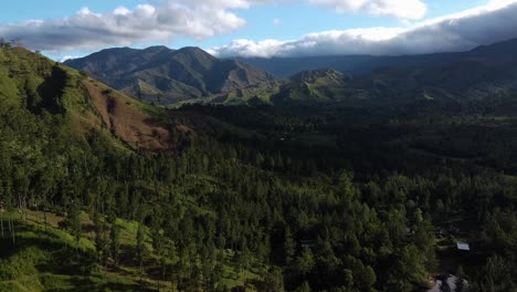 Drone-shot-of-a-forest-transitioning-to-cloudy-day