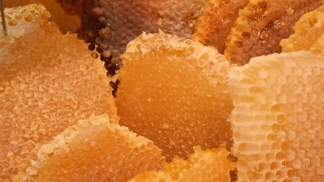 close-up of honeycomb