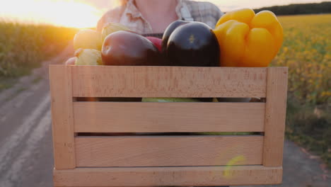 woman holding a wooden crate filled with fresh vegetables at sunset