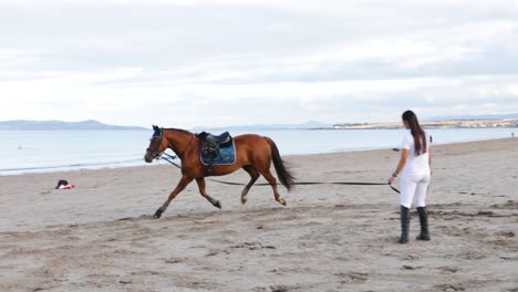 una jinete femenina entrena a un caballo en la playa, sujetándola por las riendas