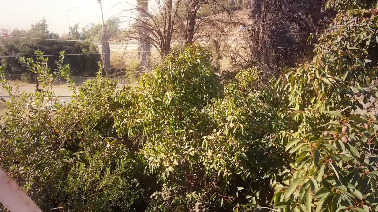 antena sobre un asiento de rueda de ferris oxidado en un carnaval abandonado cerca de la autopista