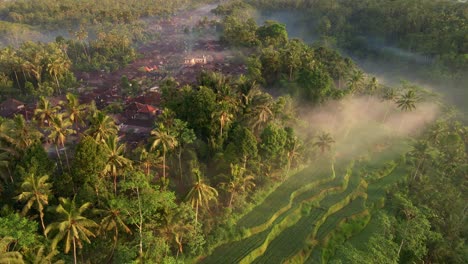 hermosa y tranquila escena icónica del paisaje con un pueblo cultural junto a campos de arroz brumosos filmados desde un dron en bali, indonesia