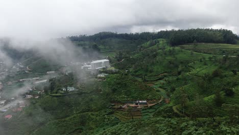 old tea factory on a hill in the middle of tea plantation hills