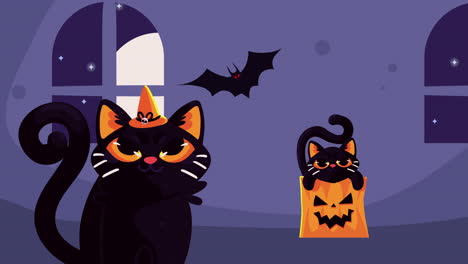 animazione di halloween felice con gatto e zucca