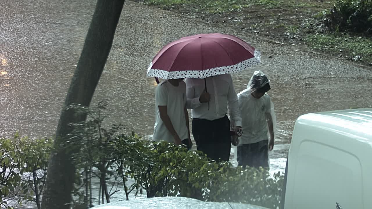 Family relationships, umbrella protection, city rainfall season