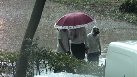 family relationships, umbrella protection, city rainfall season