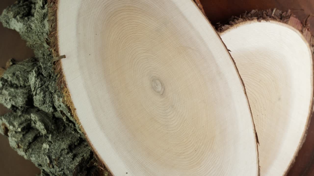 나이 반지와 함께 나무의 단 절단: 나무의 원형 절단 조각으로 은 또는 은 나무 줄기가 텍스처 패턴과 나이 반지 선을 가지고 있습니다.