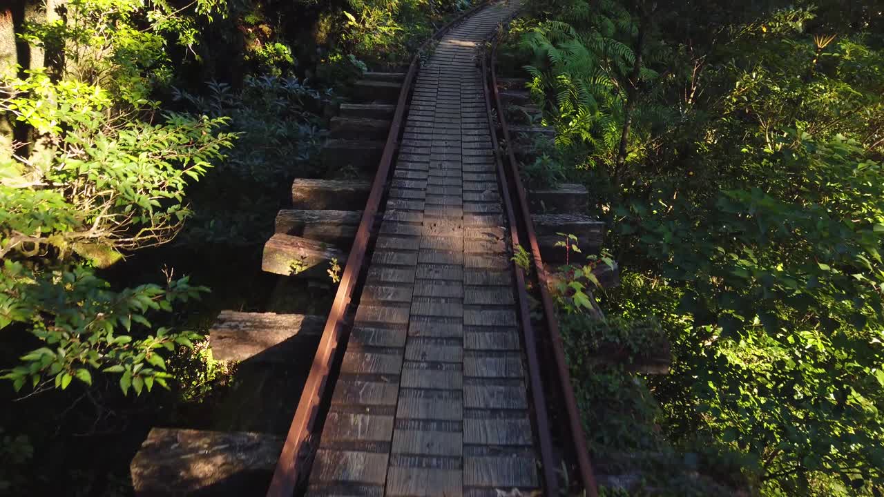 senderismo a lo largo del ferrocarril de registro en la isla de yakushima, temprano en la mañana en japón