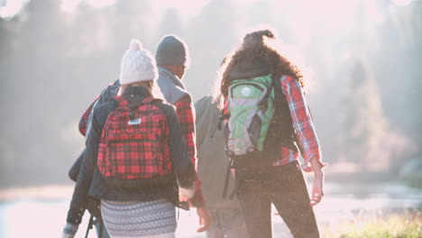 Five-friends-on-camping-trip-walking-near-lake,-back-view