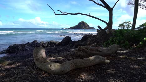 beach scene in maui hawaii