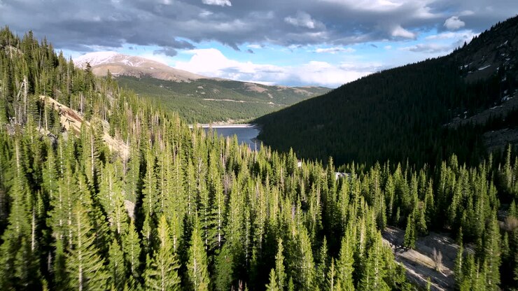 Veduta aerea del Lago Montgomery circondato da alberi nelle Montagne Rocciose del Colorado