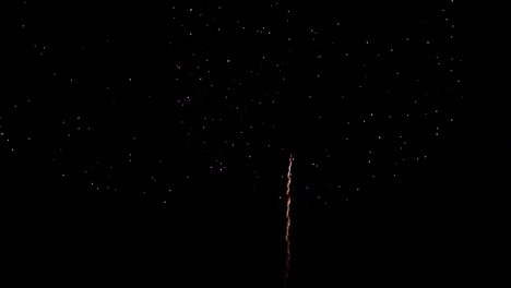 colorido espectáculo de fuegos artificiales por la noche en el fondo del cielo