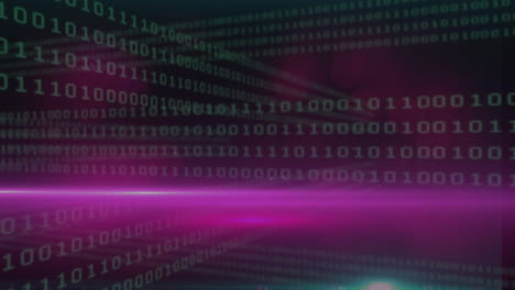 animazione dell'elaborazione dei dati di codifica binaria e macchie rosa di luce su uno sfondo nero.