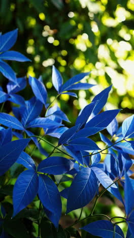 vibrant blue leaves on a plant