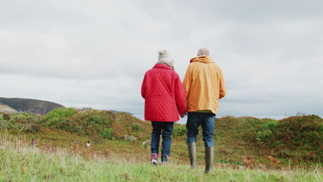 Vista-Trasera-De-Una-Pareja-De-Ancianos-Activos-Tomados-De-La-Mano-Mientras-Caminan-Por-El-Sendero-Costero-En-Otoño