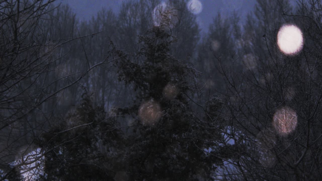 neve al rallentatore che cade davanti agli alberi, panoramica da sinistra a destra