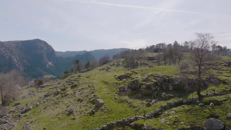 Drohnenschuss-Fliegt-über-Die-Wilde-Landschaft-Norwegens-Mit-Schafen,-Die-Auf-Feldern-Grasen