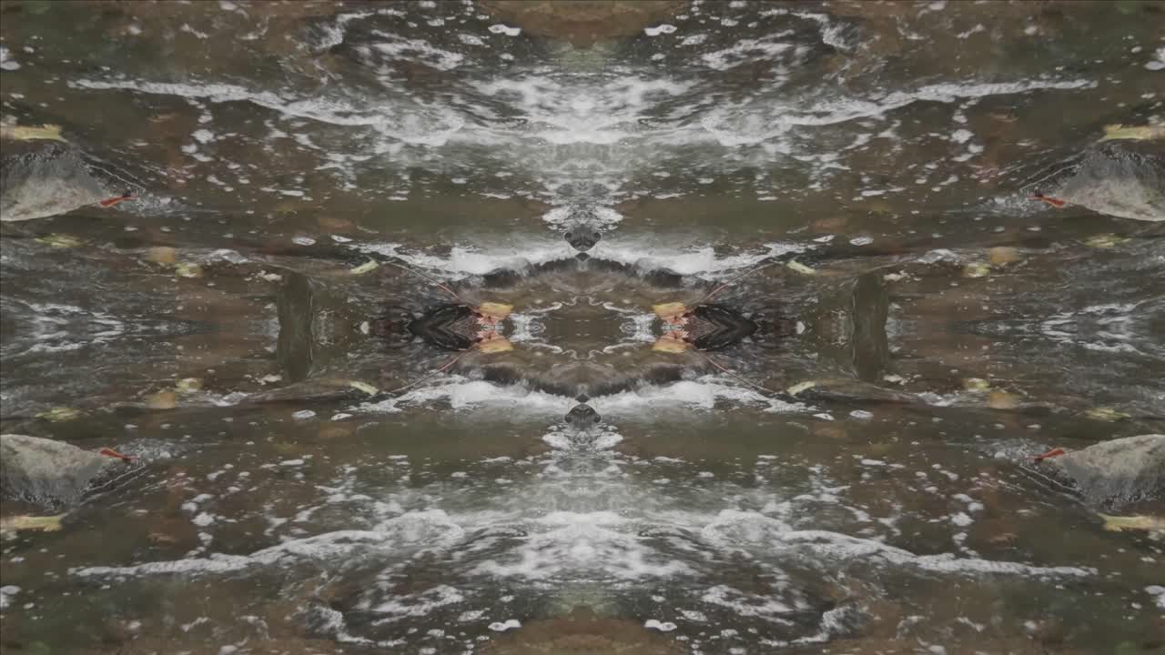 caleidoscopio de tomas de la naturaleza, wissahickon creek