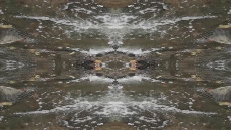 Kaleidoscope-from-Nature-Shots,-Wissahickon-Creek