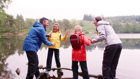 young family holding hands balancing on  fallen branches in a lake, lake district, uk