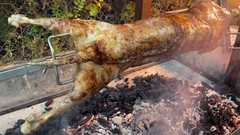spit-roasting-a-whole-lamb-over-hot-coals,-camera-moving-from-left-to-right