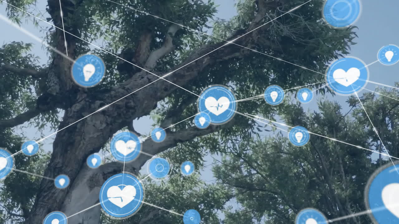 나무 가지와 하늘 배경 위의 건강 데이터 아이콘과 연결 애니메이션