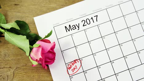 pink rose on calendar