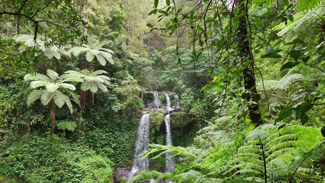 Splendida cascata tropicale ripresa dall'alto, che mette in mostra il vibrante scenario della foresta pluviale per filmati cinematografici di viaggi e attività all'aperto