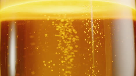close-up of a glass of beer with bubbles